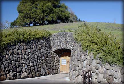 Alexander Valley Vineyard